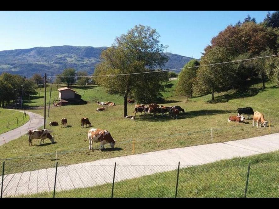 Casa "La Forcella" Villa Brembilla Eksteriør bilde